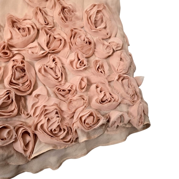 Talbots Blush A-Line Silk Skirt with Rosette Details - Picture 6 of 10